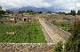 0744 Pompei
